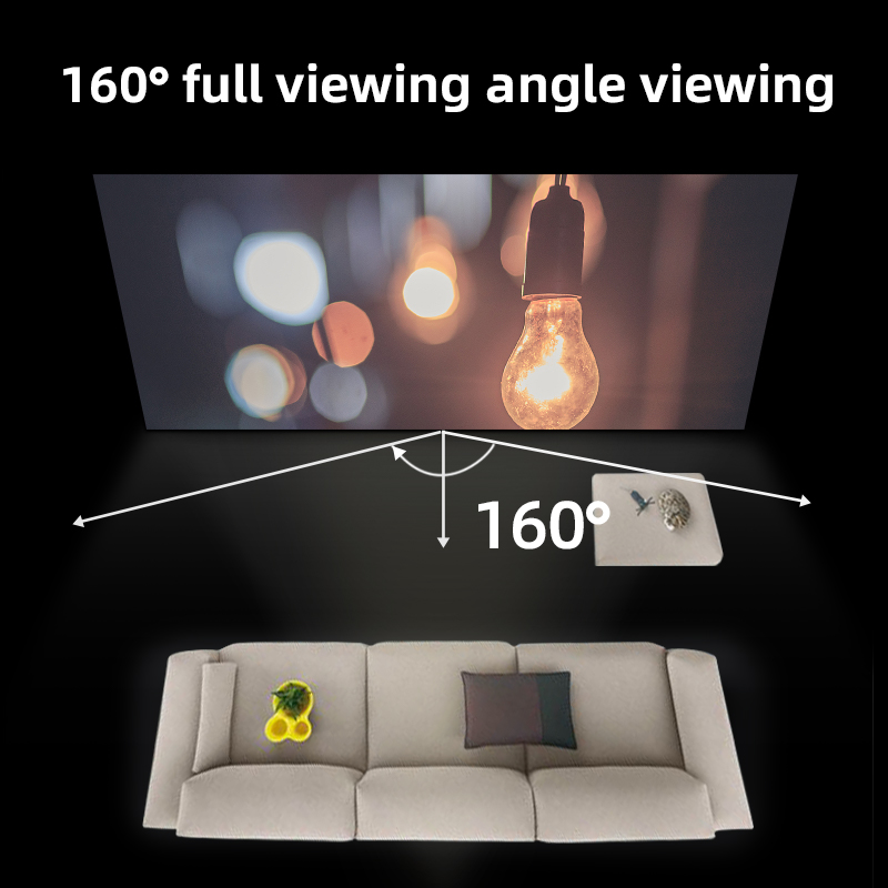 VEIDADZ Projector Screen Wall  - Projector Screen 100 Inch recension och pris